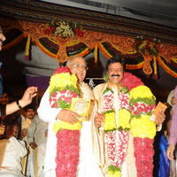 Sri Rama Rajyam Audio Launch Pictures | Picture 60341